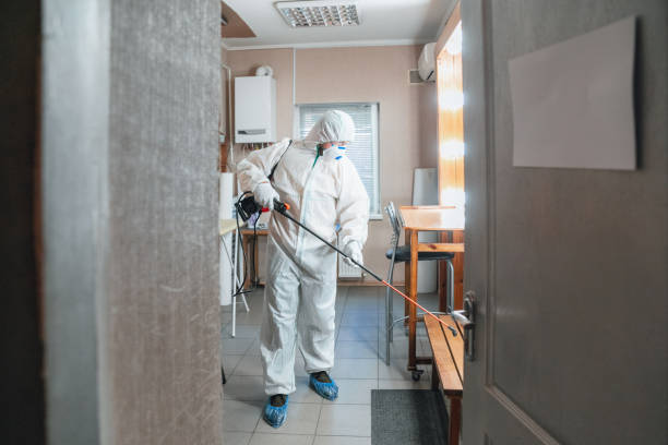 Mold Remediation for Vacation Homes in Selinsgrove, PA